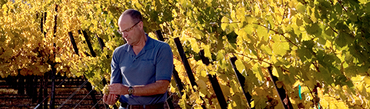 Winemaking bob bertheau 1